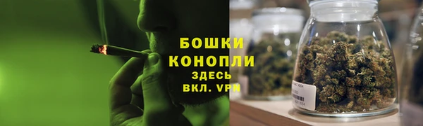 сатива Покровск