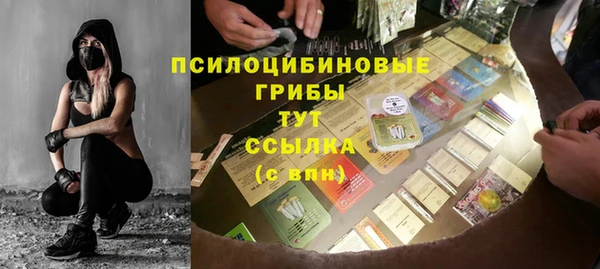 бошки Абаза