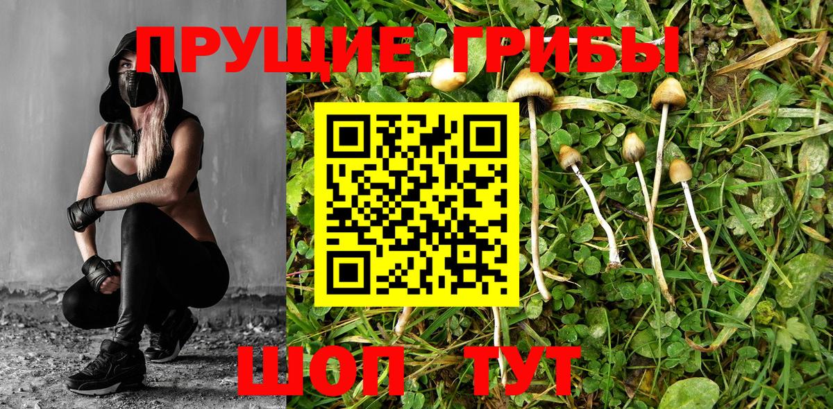 Торжок  Галлюциногенные грибы Psilocybe  Галлюциногенные грибы Psilocybine cubensis  магазин продажи наркотиков  Вход с VPN 