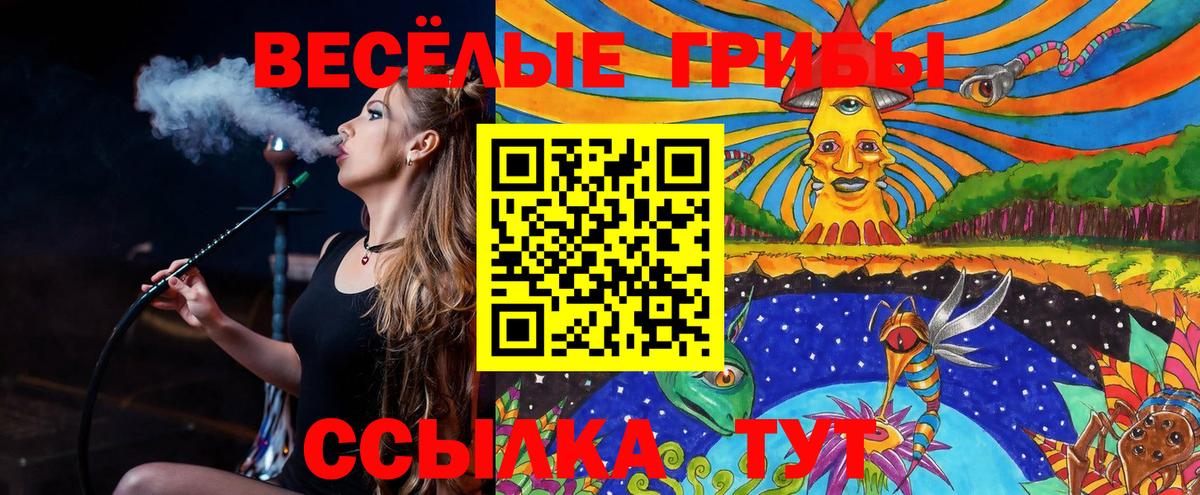 Галлюциногенные грибы мухоморы Торжок